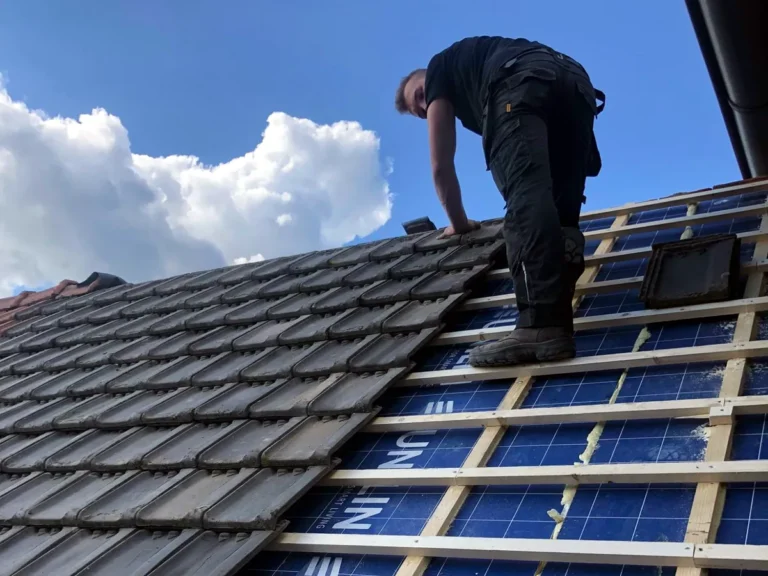 Dani Plummen vernieuwt het dak van zijn huis uit 1918, 2022